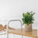 Jakse-apartments - Exklusive Fuer Geschaeftsreisende Appartamento