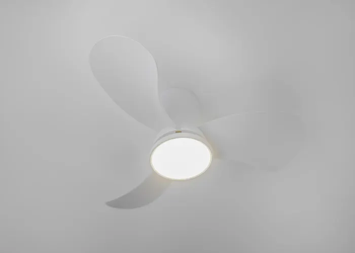 Jakse-apartments - Exklusive Fuer Geschaeftsreisende Lejlighed